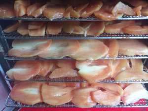 Sapodilla séchée de haute qualité Distribution domestique en gros/au détail et exportation en grande quantité - Product Image 5