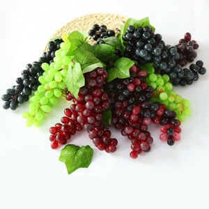 PARA ZONAS FRÍAS - EE. UU., UE - Uvas azules - 10 vides frescas 2026 - Product Image 5