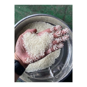 Japonica Riz à sushi à grains courts naturellement aromatiques, grains doux et collants, qualité supérieure pour la cuisine asiatique - Product Image 1