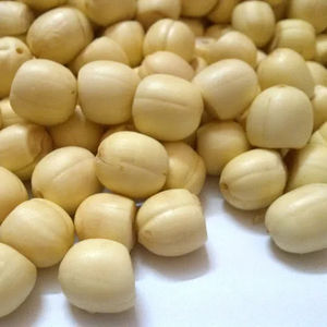 Graines de lotus séchées Snack 1kg 10kgs Hue Lotus Seeds Premium Graines de lotus séchées 14.1oz 400g Angle - Product Image 1