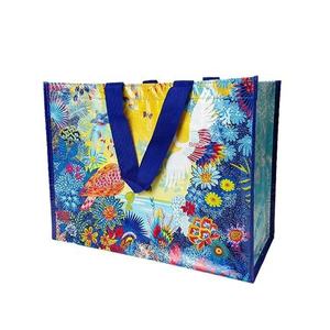 Bolsa de Compras de Polipropileno Tejido con Tamaño y Asa Personalizables (Cinta de Polipropileno/Tejido No Tejido) para Supermercados y Tiendas - Product Image 2