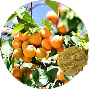 Prix d'usine en gros Extrait de pollen d'abricot - Matière première spéciale à haute viabilité pour la pollinisation des arbres fruitiers - Product Image 5