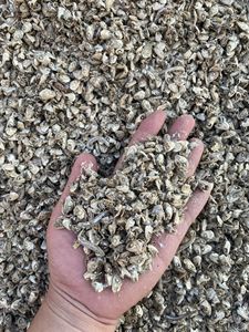 Tête d'anchois fraîche séchée au soleil production professionnelle adaptée à l'alimentation de grandes quantités de bovins - Product Image 6