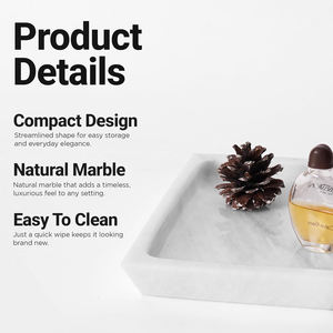 Stainless Steel Serving <b>Trays</b> Durable and Easy to Clean for <b>Buffet</b> & Catering Plastic Serving <b>Trays</b> by AYAANS - Product Image 6