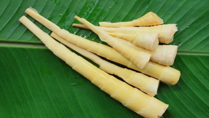 Pousse de bambou du Vietnam prêt à manger - Product Image 4