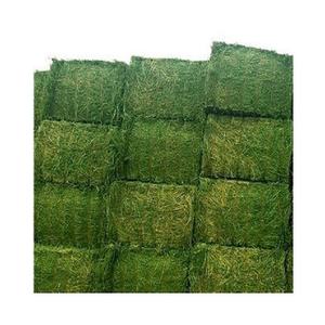 Top vente 2025 Alfafa Hay pour animaux/balles de foin de luzerne 25kg 30kg à vendre - Product Image 4