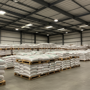 Petits haricots fava de qualité supérieure à vendre Petits haricots fava en vrac propres et naturels avec un goût et une qualité excellents - Product Image 6