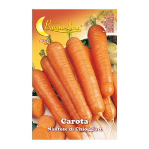 Carota di Chioggia Semi-Orto - Product Image 1
