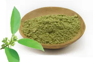 Poudre de Gudmar ayurvédique sauvage de meilleure qualité pour remède à base de plantes soutenant la santé pancréatique Détoxification de la régulation de l'insuline - Product Image 2