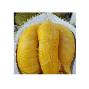 Durian congelé Pulpe de viande de Durian congelée du Vietnam morceaux de Durian IQF transformés pour les smoothies Dessert Marché d'exportation Approvisionnement - Product Image 6