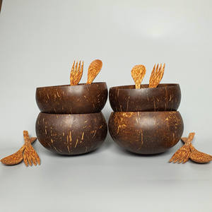 OFERTAS CALIENTES CUENCOS DE CÁSCARA DE COCO PULIDO ECOLÓGICO LOGOTIPO GRABADO PRECIO BAJO DEL FABRICANTE ECO2GO VIETNAM - Product Image 4