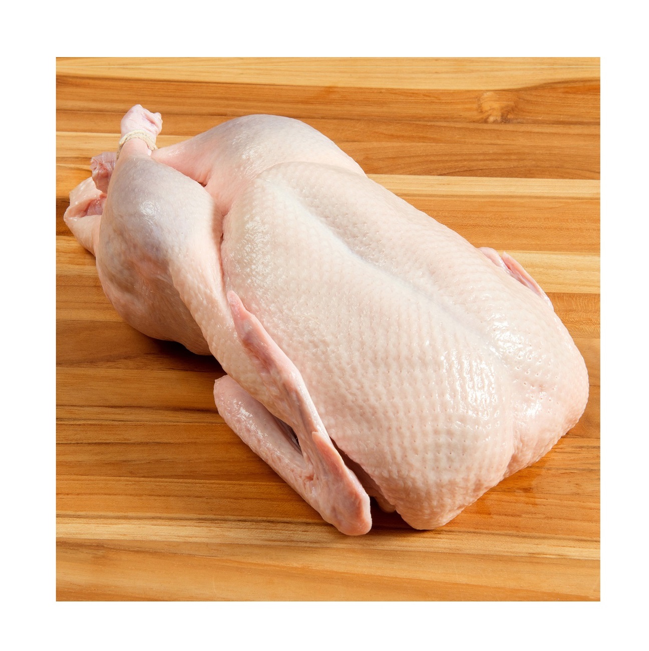 Оптовая продажа замороженная утка | Дешевая цена утки цельное мясо