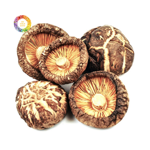 Champignons Shiitake Séchés, Arôme Intense, Champignons Chinois Naturels pour la Cuisine et la Vente en Gros - Product Image 2