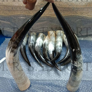 Cuerno para Beber Vikingo de Buey, Auténtico Cuerno para Beber Medieval de Vaca y Búfalo, Estilo Vikingo a Precios Asequibles - Product Image 2