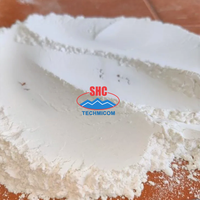 Bubuk Kapur Tawar Terhidrasi hingga 96% Ca(OH)2 200 Mesh untuk Pengolahan Air Limbah |   Pabrik Vietnam SHC Group
