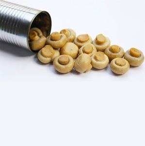 Vente en gros de champignons cuits en conserve de haute qualité, nourriture en conserve à base de champignons - Product Image 1