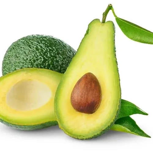 Frische Avocado mit Standard qualität und niedrigem Preis für den Export Avocado 034 frisches Obst versand bereit EU, ASIA, US-Markt