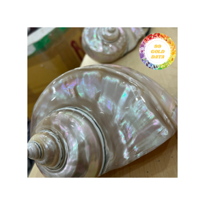 ผู้ถือแหวนผ้าเช็ดปากชายฝั่งทะเลแบบเรียบง่ายของตกแต่งเปลือกธรรมชาติแบบยั่งยืนสำหรับโรงแรมงานแต่งงานสถานที่รับประทานอาหารชั้นดีสไตล์นางฟ้า - Product Image 2