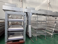 Grillage galvanisé robuste pour cages à poulets, équipement avicole pour l'élevage industriel de poules pondeuses