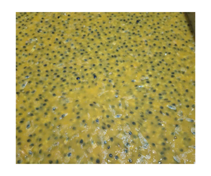 Pulpa de maracuyá congelada, Exportación OEM, fábrica de Vietnam, venta al por mayor de semillas o puré sin semillas, suministro al mejor precio internacional - Product Image 3