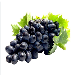 Organic Seedless <b>Grape</b> Wholesale <b>Fresh</b> Healthy Fruit High Quality 10kg Cartoon Plastic Sweet Juicy Fast Delivery Low Price Stock - Product Image 2