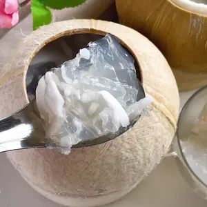Kokosnuss-Gelee-Pudding-Pulver extrahiert aus Kappaphycus-Meeresalgen veganes-freundliches Dessert-Mix mit reichem Kokosnuss-Geschmack