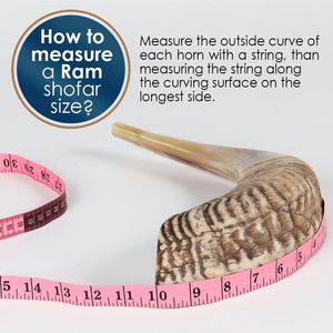 Natural X Tamaño grande Ram Horn Shofar Easy Blow Hecho en Israel - Product Image 6