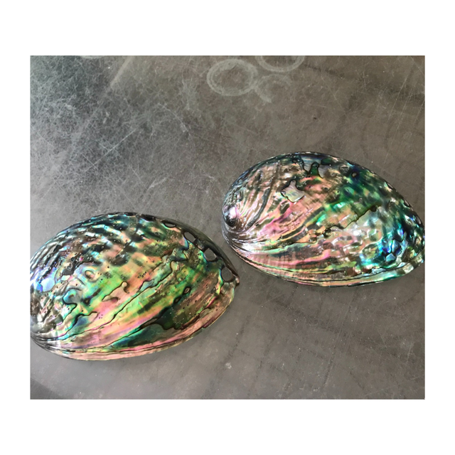 Mother of Pearl Abalone Shell Sheets for Art and Decoration, Large Polished Abalone Shell, Raw Abalone Shell
