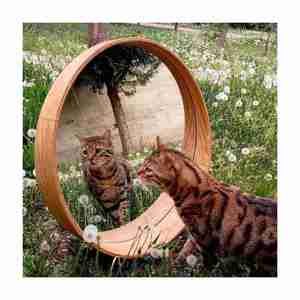 Miroirs muraux décoratifs faits à la main très demandés Décor de chambre Fabricant et exportateur de cadre en bois rond de haute qualité - Product Image 2