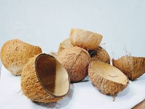 Material de Cáscara de Coco Cruda, Fibra Natural para Gestión de Residuos, 100% Pureza, Estado Sólido para Tratamiento de Agua y Agricultura - Product Image 3