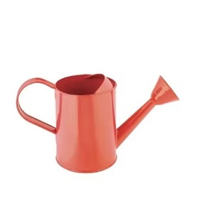 Arrosoir en métal au design moderne Outil et décoration de jardin élégants à un prix raisonnable - Product Image 1