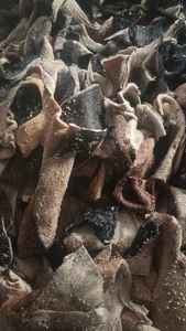 Piel de vaca natural orgánica de alta calidad, Cuero Crudo dividido para Fabricación de cuero, aplicaciones artesanales, uso industrial listo para sal seca - Product Image 3