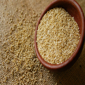 GRANO DE QUINOA DE LA MÁS ALTA CALIDAD/PRECIO MÁS COMPETITIVO EN VENTA - Product Image 1