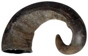 เคี้ยวฮอร์นสุนัขออร์แกนิคมีขนาดเล็กและใหญ่สำหรับเคี้ยวแบบก้าวร้าวทำจากฮอร์น - Product Image 3