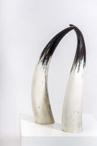 Corne à boire naturelle personnalisée corne de Viking bière et vin Restaurant utilisation de mariage corne de Viking antique sculptée pour la fête de Noël - Product Image 4