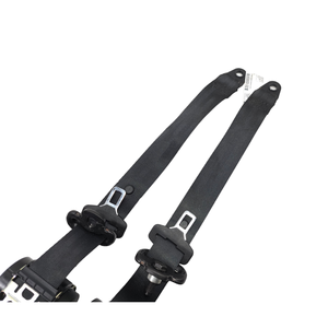 Cinghie Posteriori Lancia Ypsilon 4a Serie 735577180 (11>23) - Product Image 3