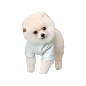 Mimi organique marque de luxe vêtements pour animaux de compagnie haut de gamme écologique coton biologique animal de compagnie automne hiver chien chat vêtements pour chiens - Product Image 1