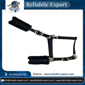 Caballo Halter de alta calidad, montar a caballo, PP Halter, disponible al mejor precio - Product Image 6