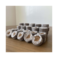 COCO Jiffy-arbre de planification de bloc vert or clair foncé pour serre 99GD, 100% prix de la menthe COCO biologique