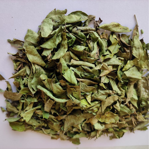 DRIED CLEISTOCALYX OPERCULATUS LEAVES FOR HERBAL <b>PRODUCTS</b> AND BEVERAGES - Product Image 1