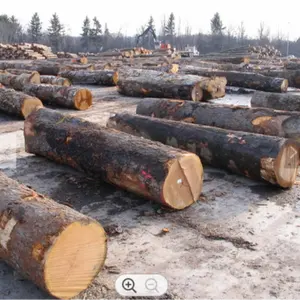 Troncos de madera maciza Merbau, madera roja, los más vendidos