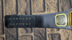 Diseño personalizado para Champion Legacy Award 8MM de espesor cuero genuino peso pesado suave material duradero para Artes Marciales desgaste - Product Image 3