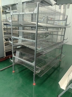 Système de cages à poules pondeuses direct usine, cages automatiques en batterie, équipement avicole pour projets mondiaux d'élevage de volailles