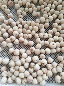 Đông lạnh <span class=keywords><strong>Lychee</strong></span> iqf Hữu Cơ vải trái cây bột giấy bóc vỏ và đông lạnh <span class=keywords><strong>Lychee</strong></span> trong số lượng lớn toàn bộ và thái lát giá rẻ giá chất lượng cao - Product Image 6