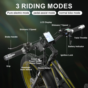 Zerogo Eu Premium bicicleta eléctrica Stock Venta caliente bicicleta de senderismo 20 pulgadas bicicleta eléctrica 250W V8 City Sport Ebike para adultos - Product Image 4