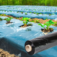 Film de paillage agricole noir en PE biodégradable renforcé, de qualité alimentaire, avec stabilisateur UV, résistant à l'humidité, pour riz et viande