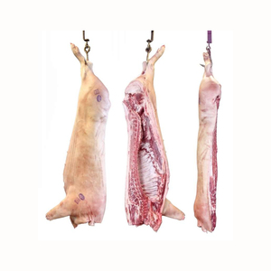 Viande de porc congelée de qualité supérieure viande de porc halal congelée bon marché - Product Image 3