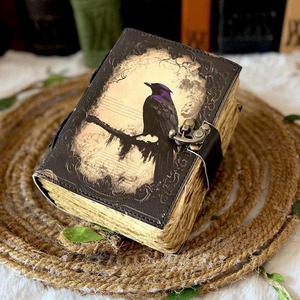 Raven da cổ điển Tạp Chí trống chính tả cuốn sách của bóng tối grimoire du lịch bằng văn bản máy tính xách tay cổ khóa đóng cửa - Product Image 4