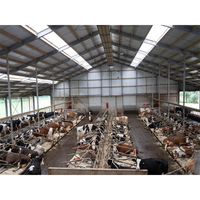 2022 Offre Spéciale préfabriquées Préfabriqués Bovins Vache Chèvre Laitière hangar Agricole Conception