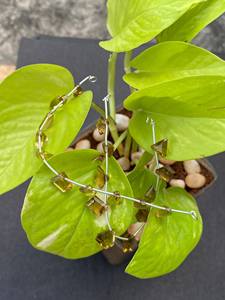 Whisky Quartz Gemstone 10-15mm Taille Perles 8 Pouces Brin pour DIY Fabrication de Bijoux En Gros Gemme - Product Image 4